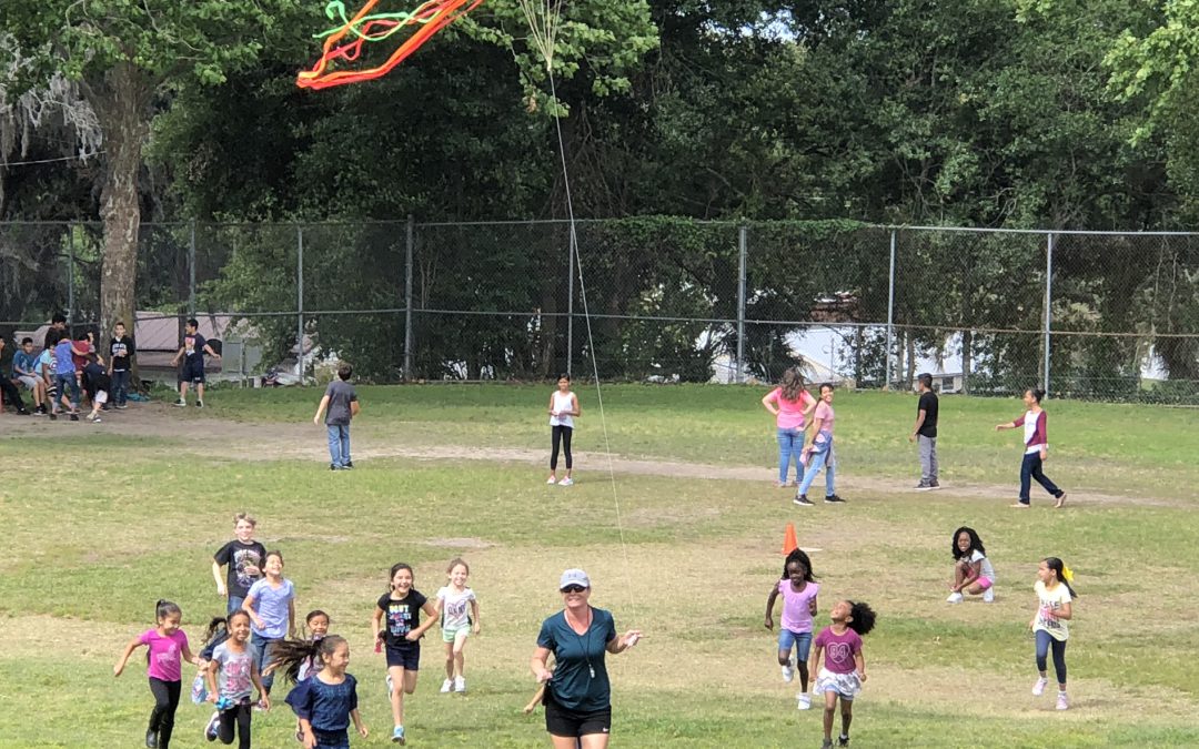 Go Fly a Kite!